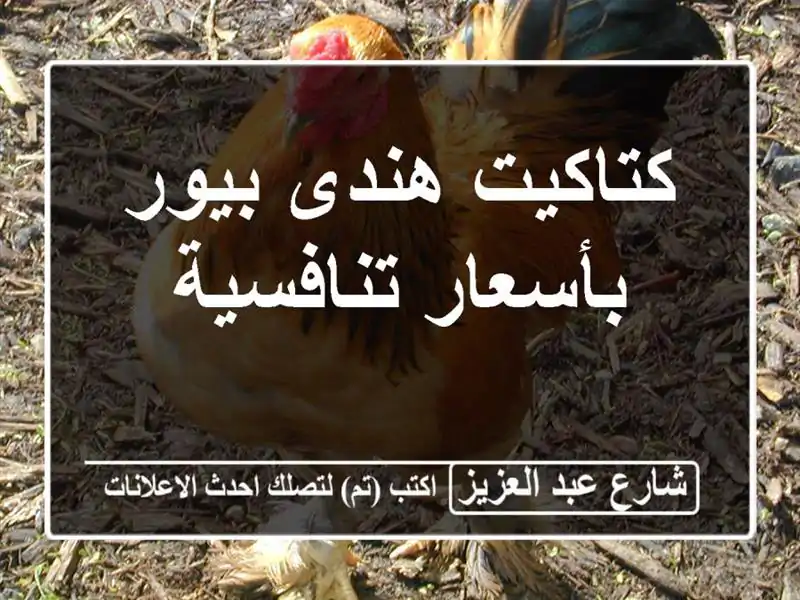 كتاكيت هندى بيور بأسعار تنافسية
