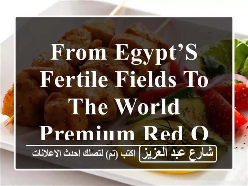 from egypt’s fertile fields to the world premium red onions