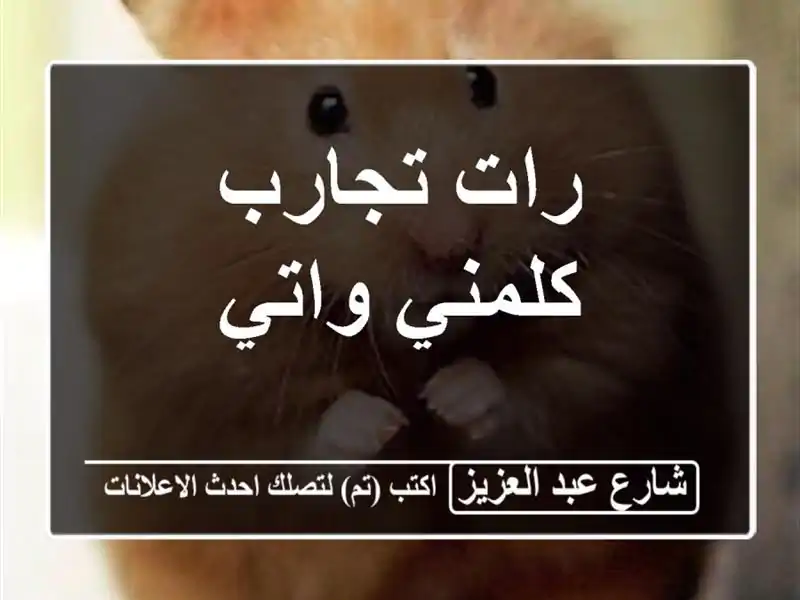 رات تجارب كلمني واتي