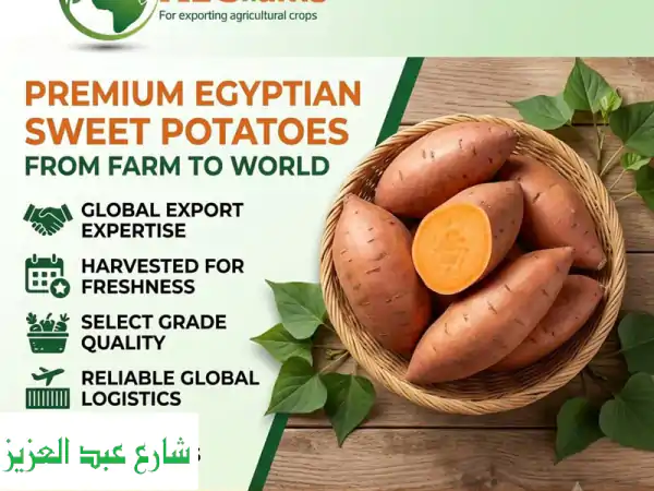 premium sweet potatoes  straight from the farm to the world