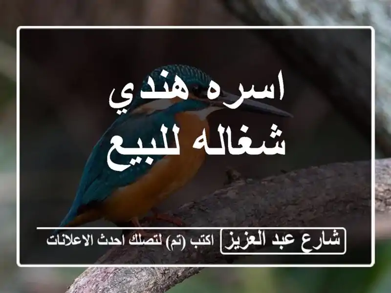 اسره هندي شغاله للبيع