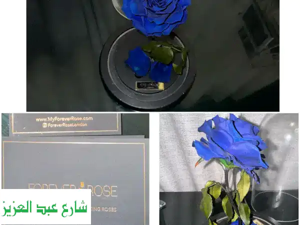 Forever original rose