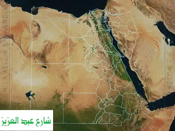 دروس تحفيظ و تجويد القرآن الكريم و متاح on line