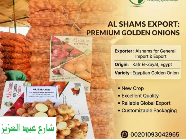 golden, fresh & export  ready golden onions that meet international standards are just a message ...