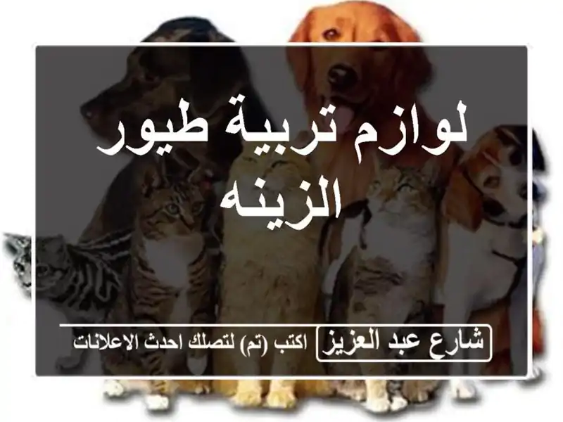 لوازم تربية طيور الزينه