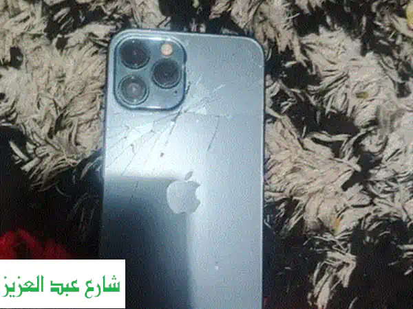 Apple  iPhone 13 Pro