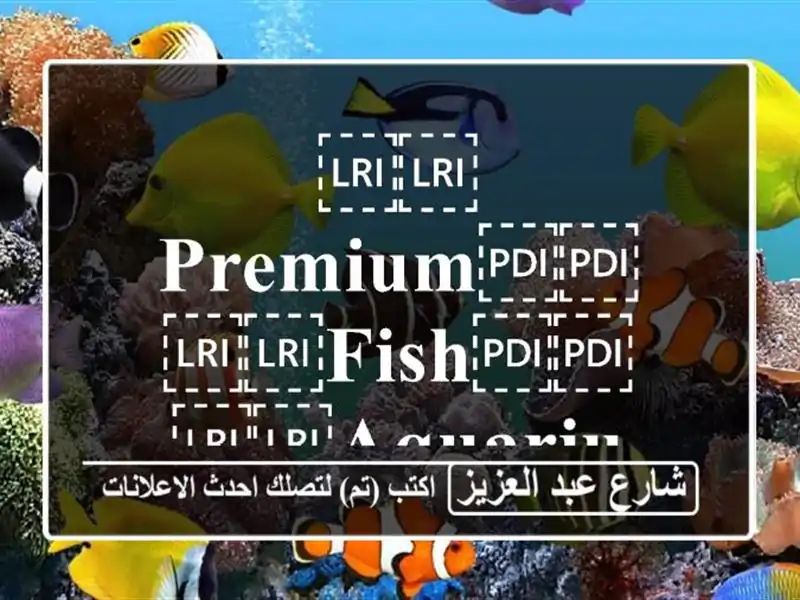 ⁦⁦Premium⁩⁩ ⁦⁦Fish⁩⁩ ⁦⁦aquarium⁩⁩ حوض سمك جديد