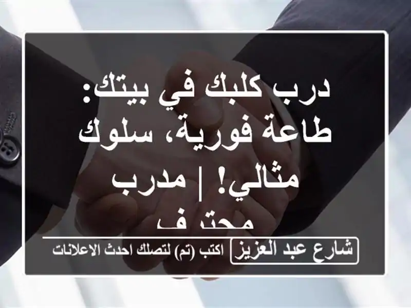 درب كلبك في بيتك: طاعة فورية، سلوك مثالي! | مدرب محترف