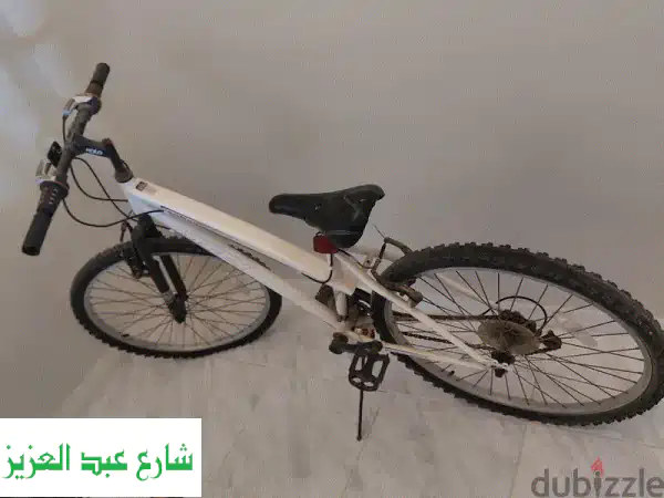 لا تفوت الفرصة! زوج دراجات أمريكية أصلية مقاس 24 (بناتي...