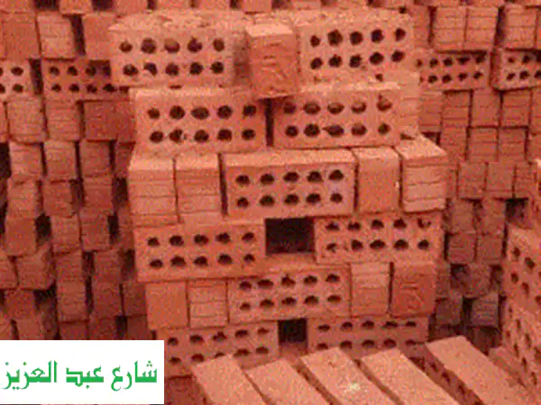 طوب أحمر طفلي | مصانع النور: أساس متين لمستقبل مشروعك