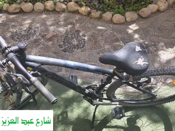 Orbea