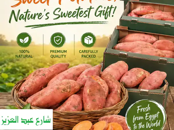 sweet potatoes, nature's sweetest gift looking for premium  quality, nutrient  packed sweet ...