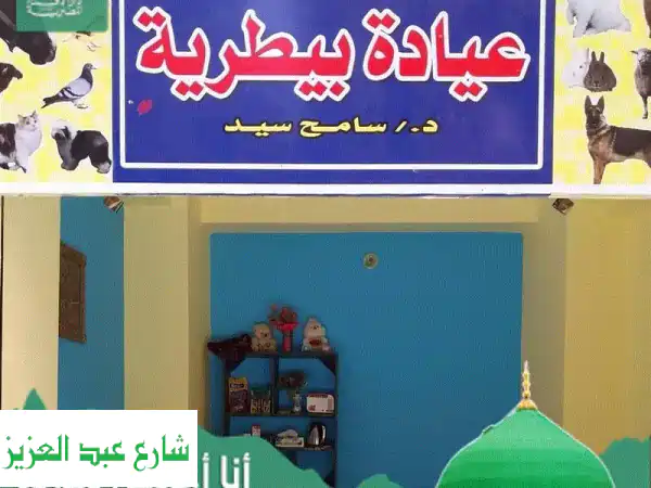 طبيب بيطري خبير: استشارات طبية ومستلزمات بيطرية شاملة لرعاية حيواناتك الأليفة والماشية
