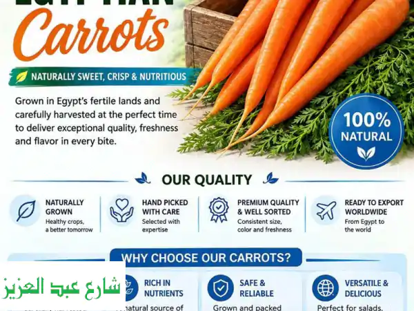 الجزر المصري الفاخر من مزارع مصر الى العالم هل تبحث عن جزر مصري طازج، مقرمش وموثوق لتلبية احتياجات ...