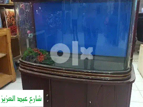 حوض سمك