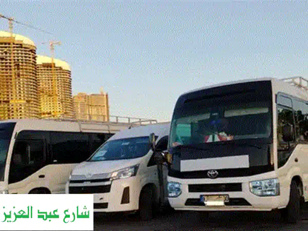 نقل سياحي داخلي مصر VIP: باصات حديثة وسائقين محترفين | ترافيل جيت
