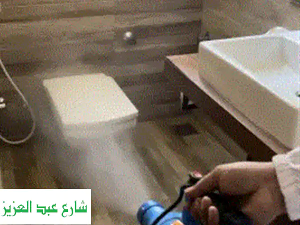 تخلص من النمل في 24 ساعة خاصة في فصل الصيف مع...