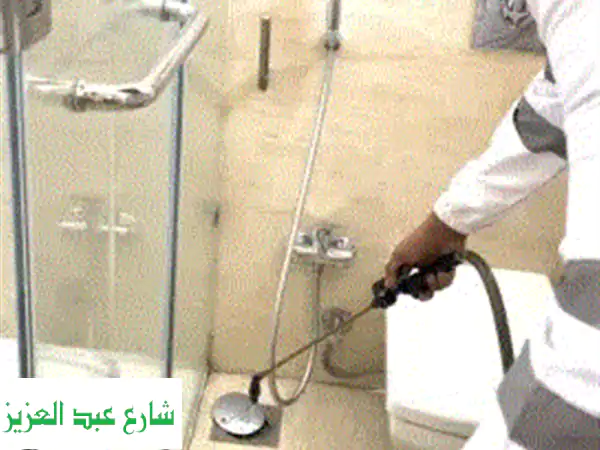 تخلص من النمل في 24 ساعة خاصة في فصل الصيف مع الألمانية للحشرات النمل هو من الحشرات الاجتماعية التي ...