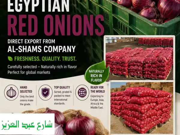 elevate your produce supply with export  grade egyptian red onions are you looking to source ...