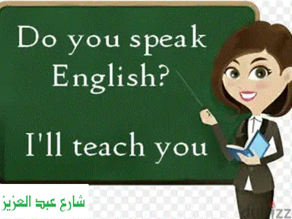 tailor  made English teacher