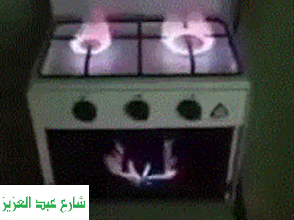 بوتجاز ميني مصنع نصر جاز بوتجاز صغير بحجم...