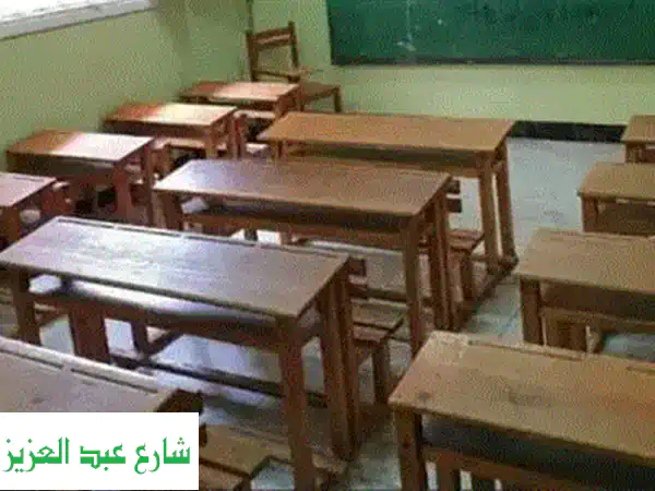 ديسكات حضانة أفضل أنواع الخشب سويدي فنلندي