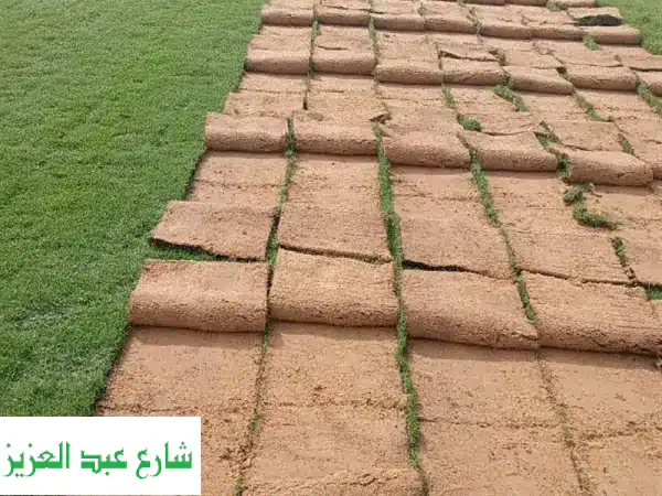 نجيل طبيعي بسبليم 10